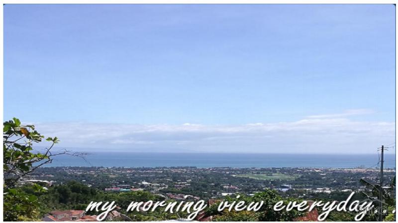 4 bedroom Houses for sale in Talisay in Cebu - image