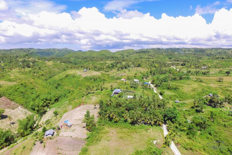 Residential Lot for sale in Carcar - image 12