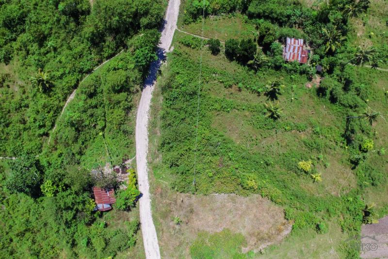Residential Lot for sale in Carcar - image 14