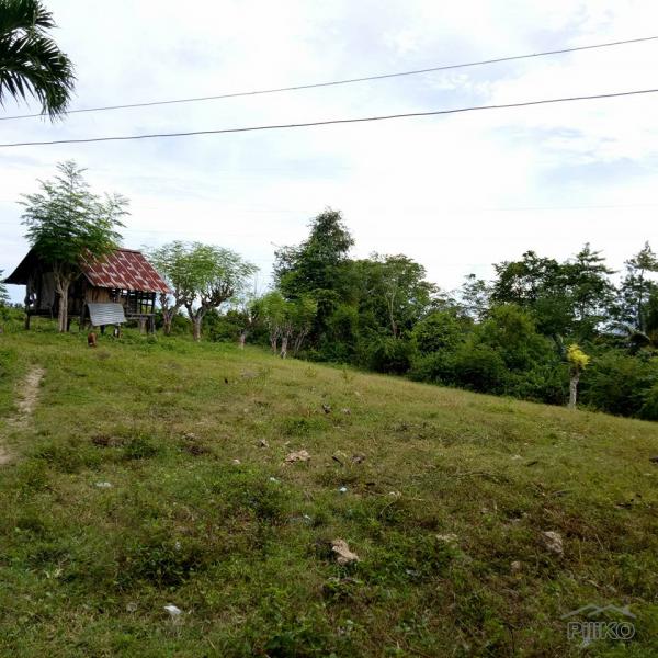 Residential Lot for sale in Carcar - image 16