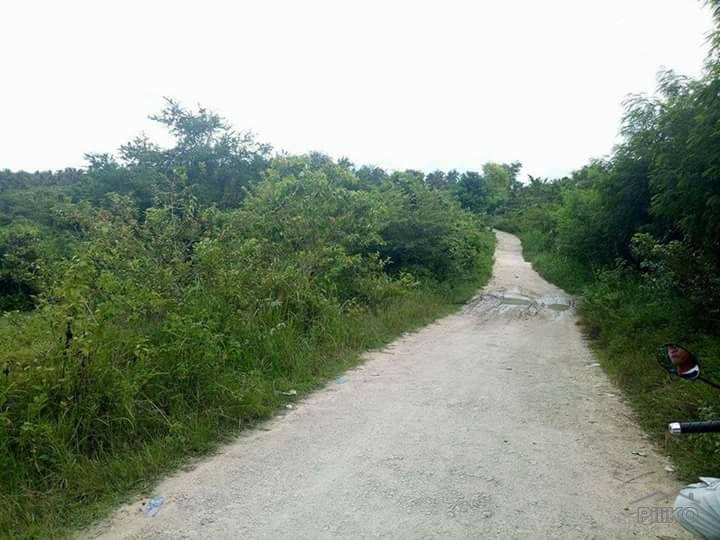 Residential Lot for sale in Carcar - image 17