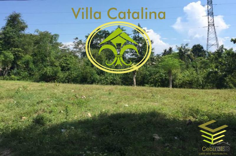 Pictures of Residential Lot for sale in Carcar