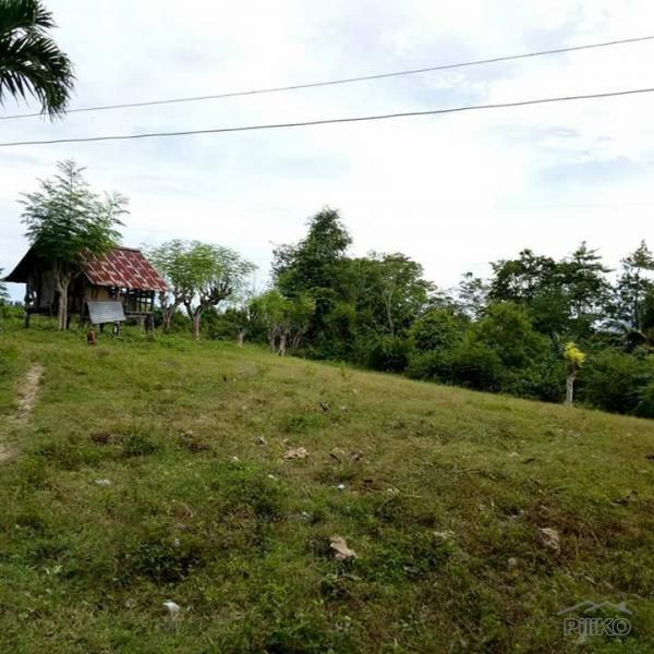 Lot for sale in Carcar - image 12