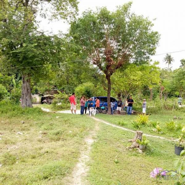 Pictures of Lot for sale in Carcar