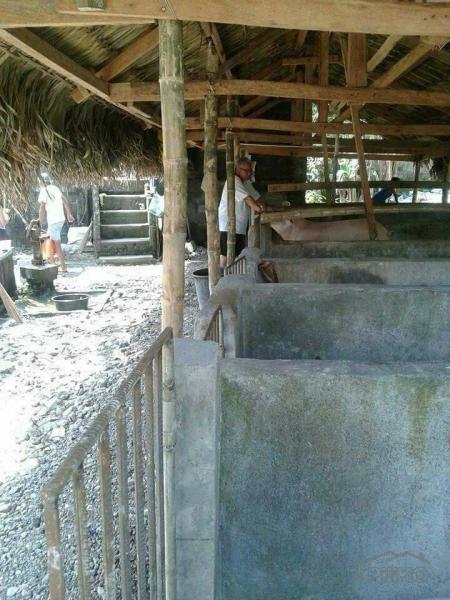 Other commercial for sale in San Fernando