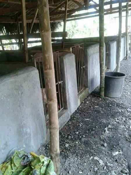 Other commercial for sale in San Fernando in Camarines Sur