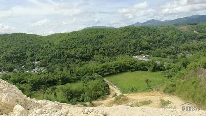 Residential Lot for sale in Consolacion - image 2