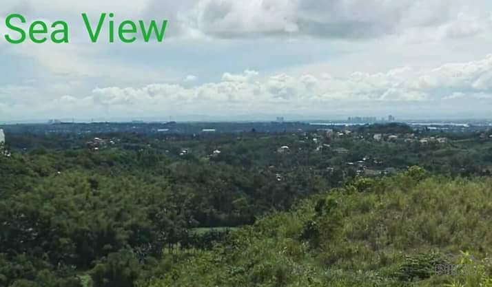 Residential Lot for sale in Consolacion - image 3