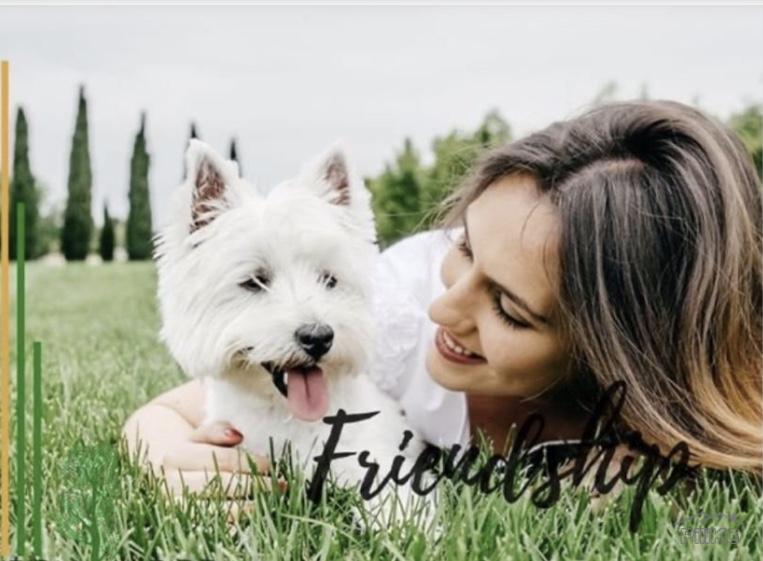 Condominium for sale in Mandaue - image 19