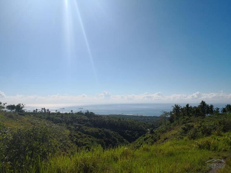 Picture of Agricultural Lot for sale in Naga