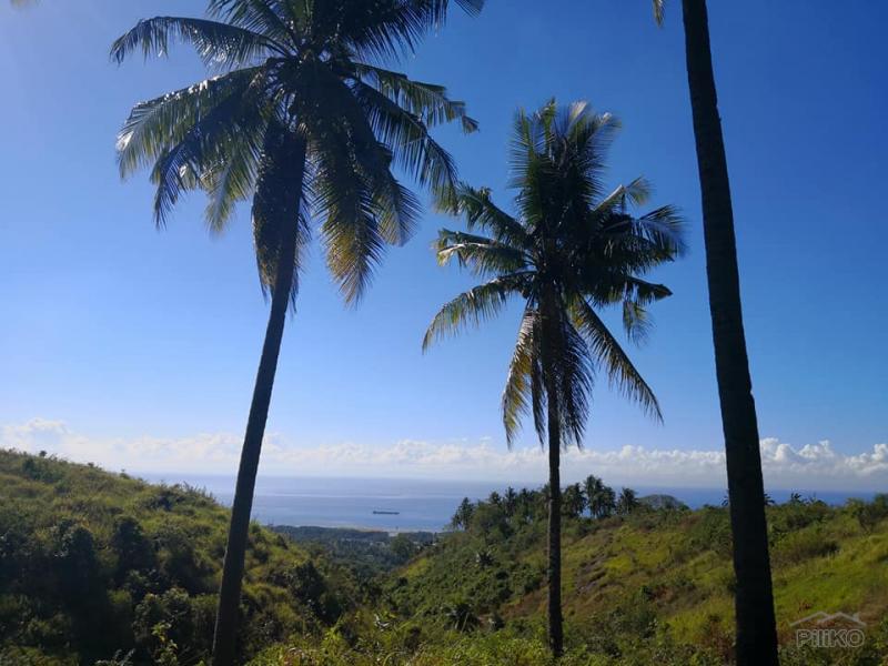 Agricultural Lot for sale in Naga in Philippines