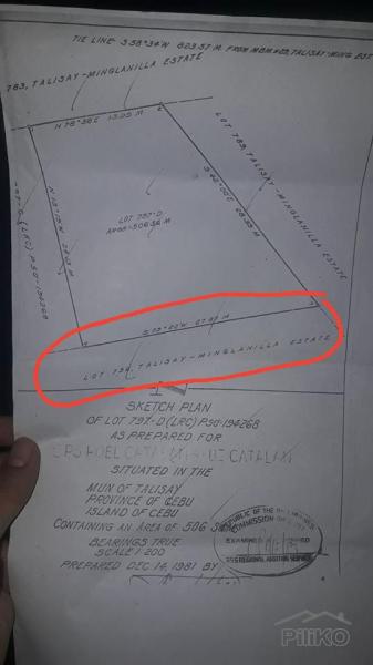 Commercial Lot for sale in Talisay - image 4