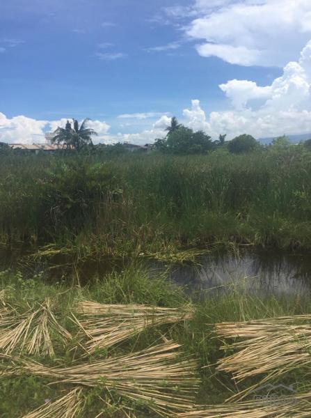 Pictures of Lot for sale in Cebu City