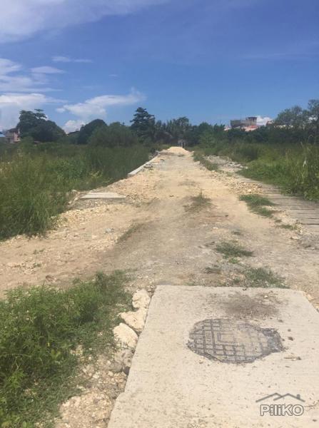 Lot for sale in Cebu City - image 4