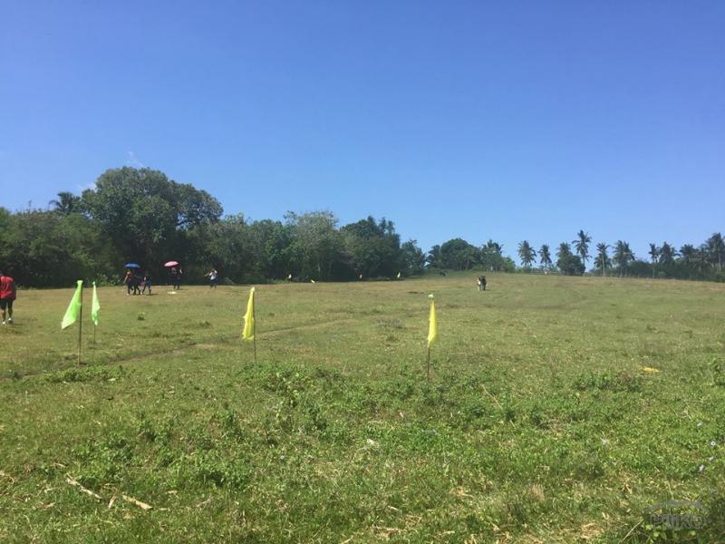 Picture of Lot for sale in Daanbantayan