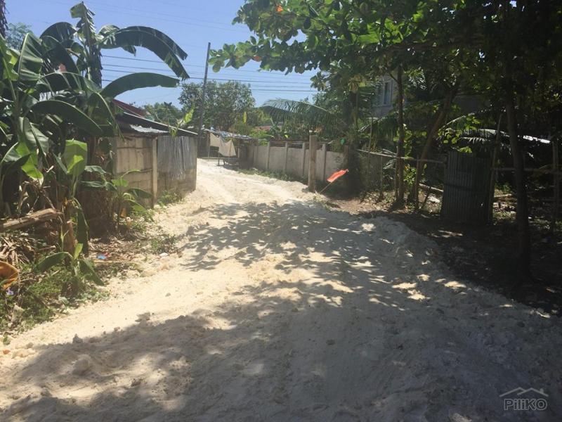 Lot for sale in Daanbantayan