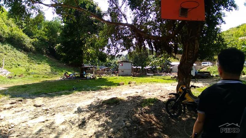 Residential Lot for sale in Consolacion - image 2