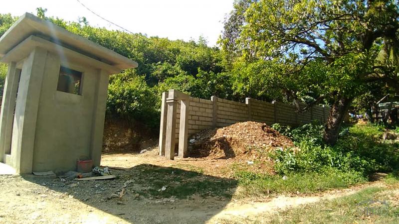 Residential Lot for sale in Consolacion - image 3