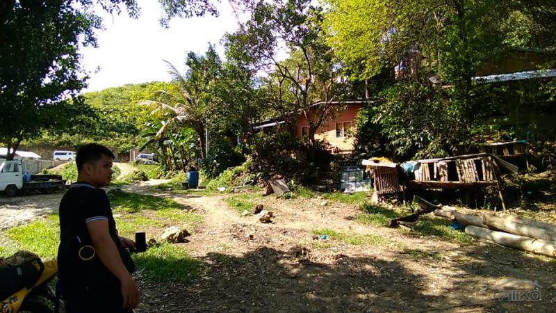 Residential Lot for sale in Consolacion - image 4