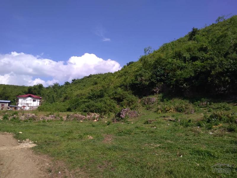 Residential Lot for sale in Consolacion - image 5