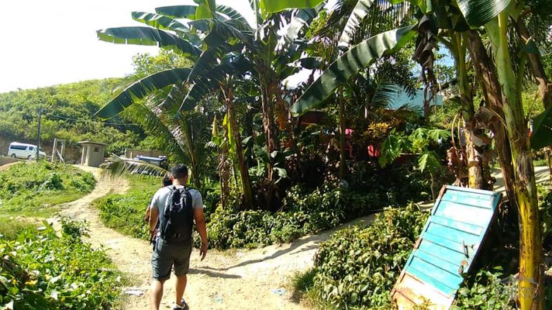 Residential Lot for sale in Consolacion - image 6