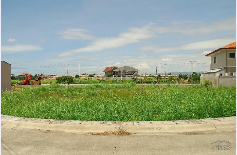 Pictures of Residential Lot for sale in Lapu Lapu