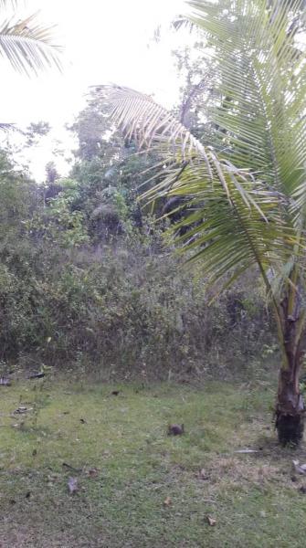 Residential Lot for sale in Corella in Bohol