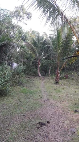 Residential Lot for sale in Corella - image 5