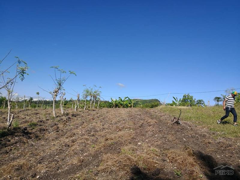 Lot for sale in Naga - image 10