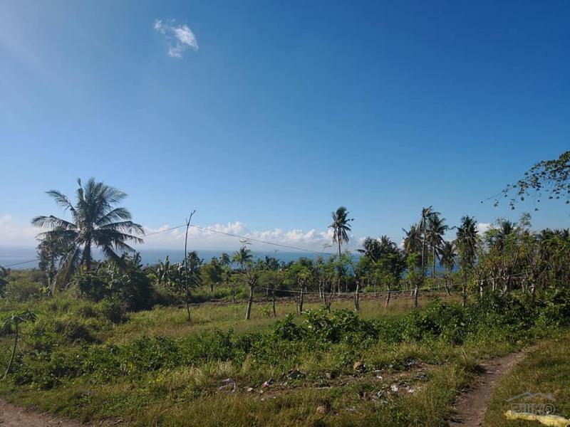 Lot for sale in Naga - image 11