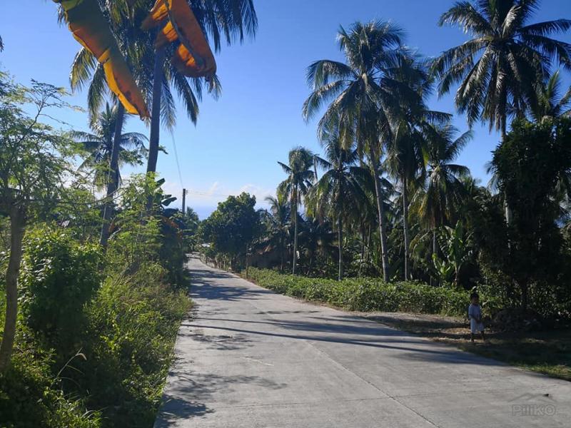 Lot for sale in Naga - image 12