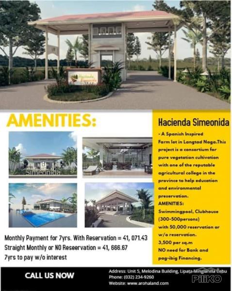 Pictures of Lot for sale in Naga