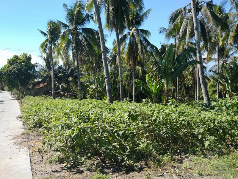 Lot for sale in Naga in Philippines - image