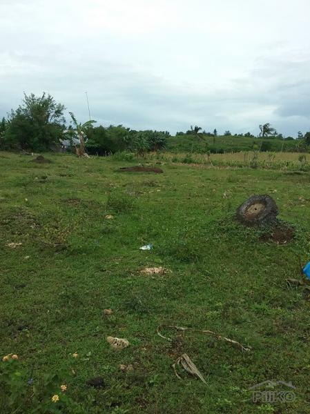 Lot for sale in San Remigio - image 10