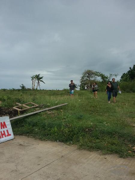 Lot for sale in San Remigio - image 11