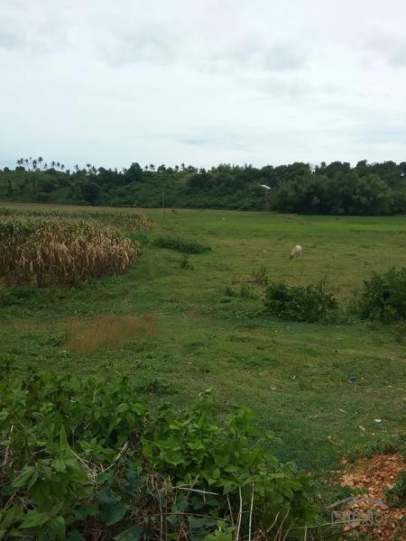 Lot for sale in San Remigio - image 12