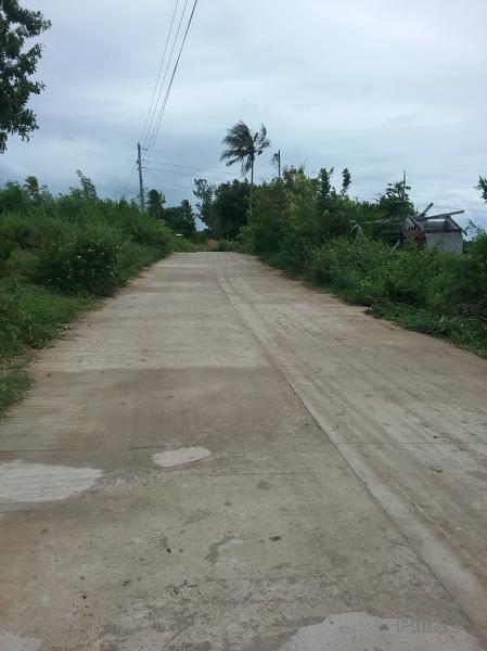 Lot for sale in San Remigio - image 14