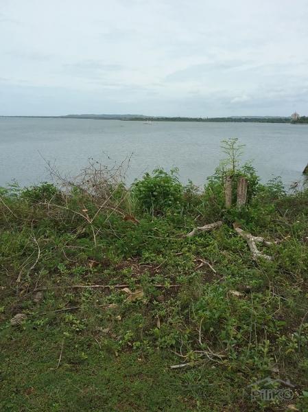 Lot for sale in San Remigio - image 7