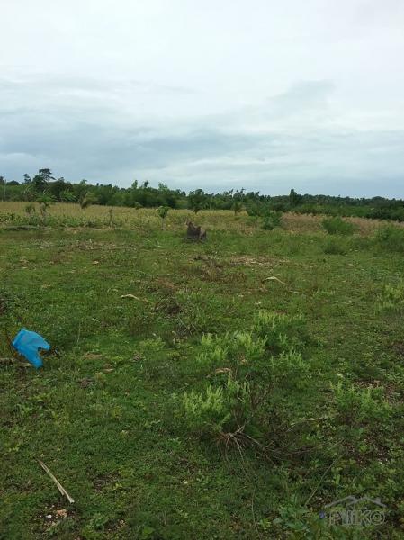Lot for sale in San Remigio in Philippines - image
