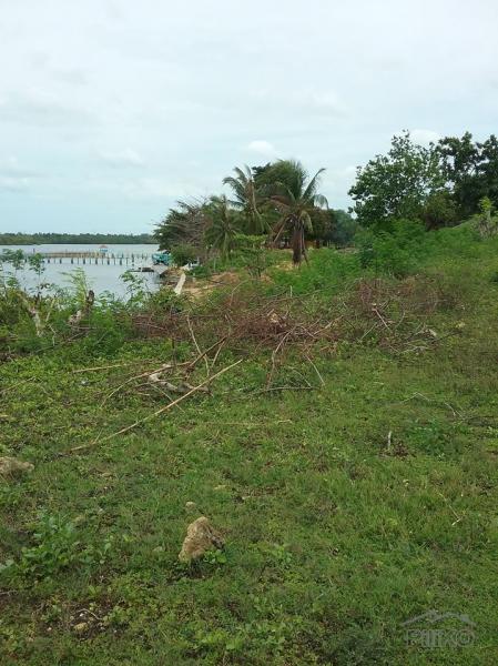 Lot for sale in San Remigio - image 9