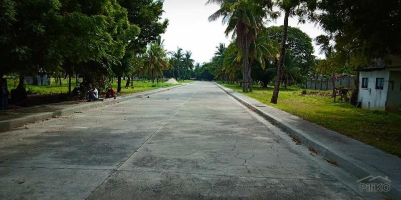 Picture of Lot for sale in Lapu Lapu in Cebu