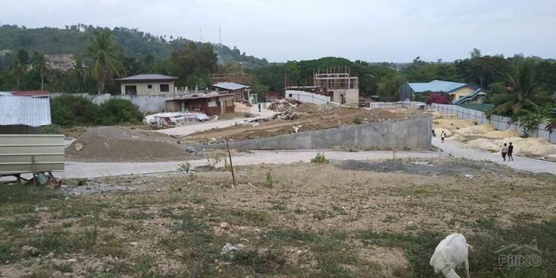 3 bedroom Houses for sale in Minglanilla in Cebu