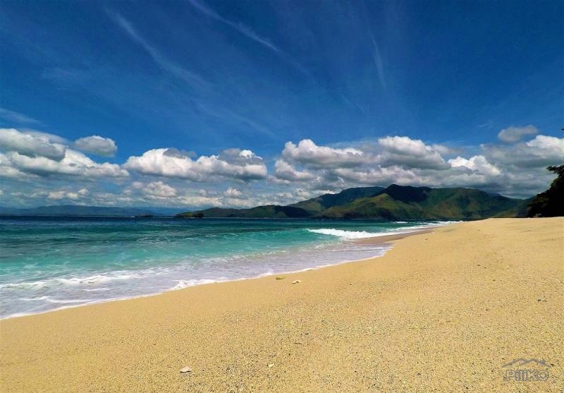 Other lots for sale in Cabangan - image 3