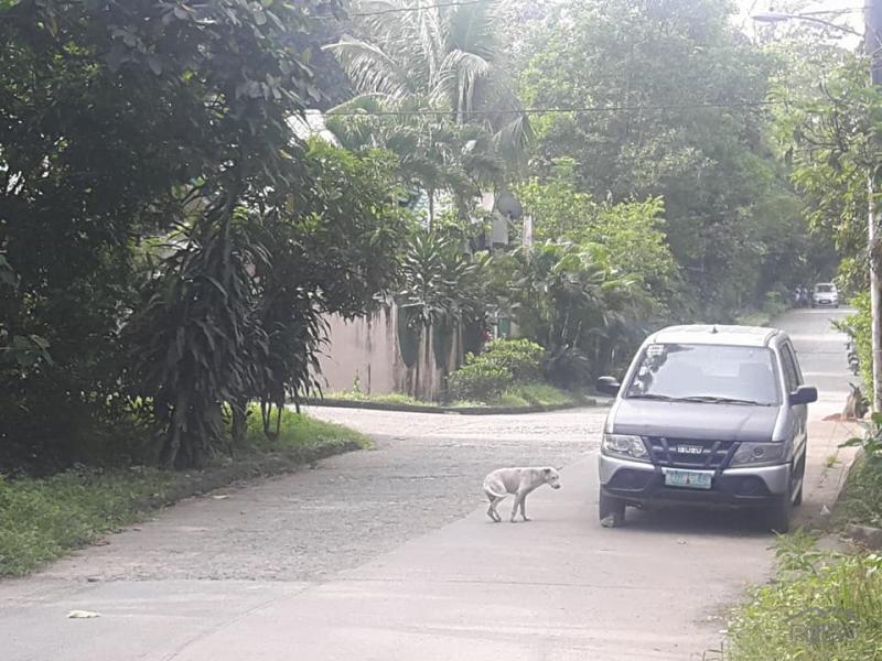 Picture of Residential Lot for sale in Rodriguez