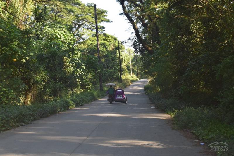 Residential Lot for sale in Rodriguez in Rizal