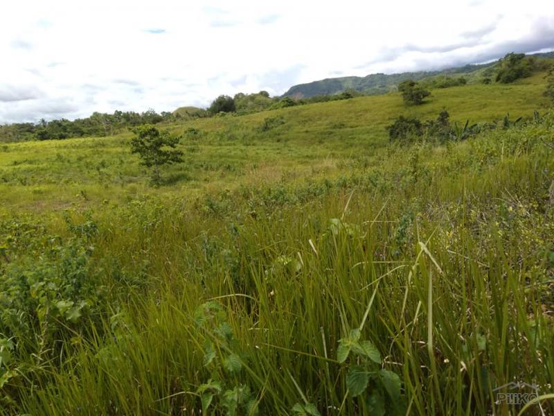 Land and Farm for sale in Dagohoy in Bohol