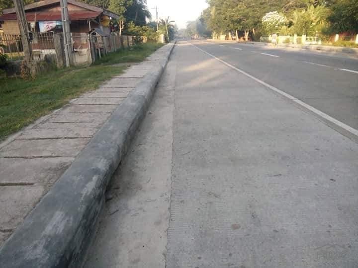 Pictures of Commercial and Industrial for sale in Trinidad