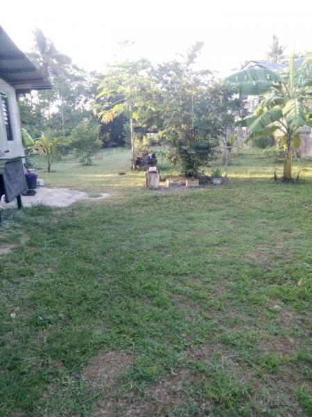 Commercial and Industrial for sale in Trinidad - image 2