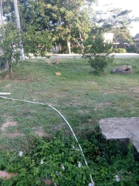 Commercial and Industrial for sale in Trinidad - image 3