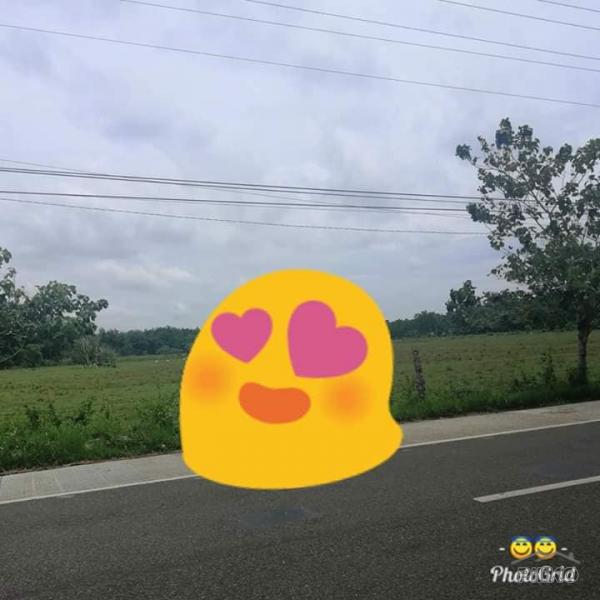 Picture of Commercial and Industrial for sale in Clarin